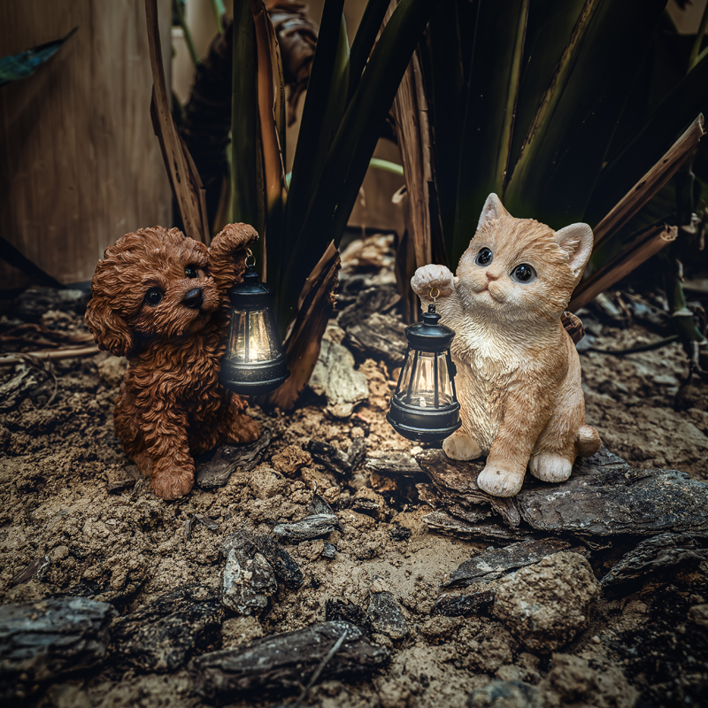 踏ん張り方を見習い中(茶トラ) 踏ん張り方を見習い中(茶トラ) 取扱注意のネコ